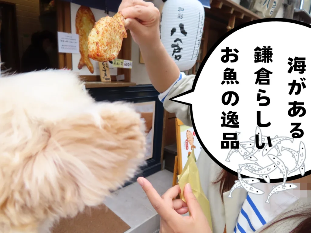 和彩八倉のシラス天