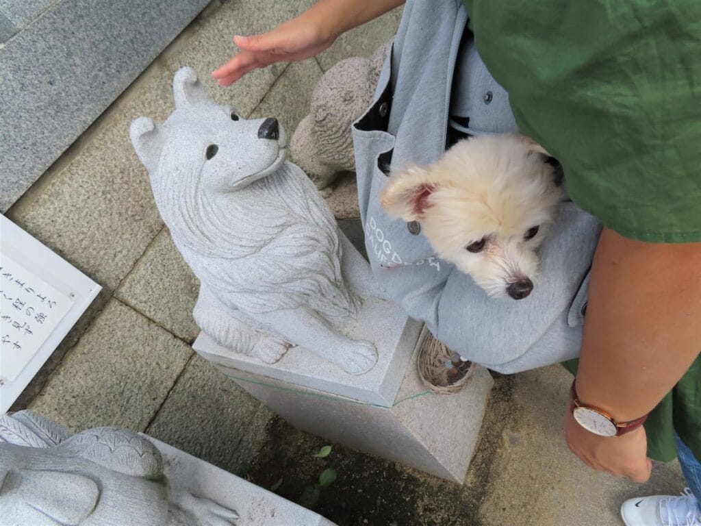 干支のワンちゃん