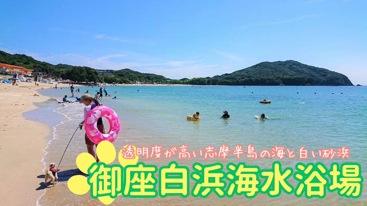 ワンちゃんと御座白浜海水浴場で泳ごう｜わんことお出かけ伊勢志摩編