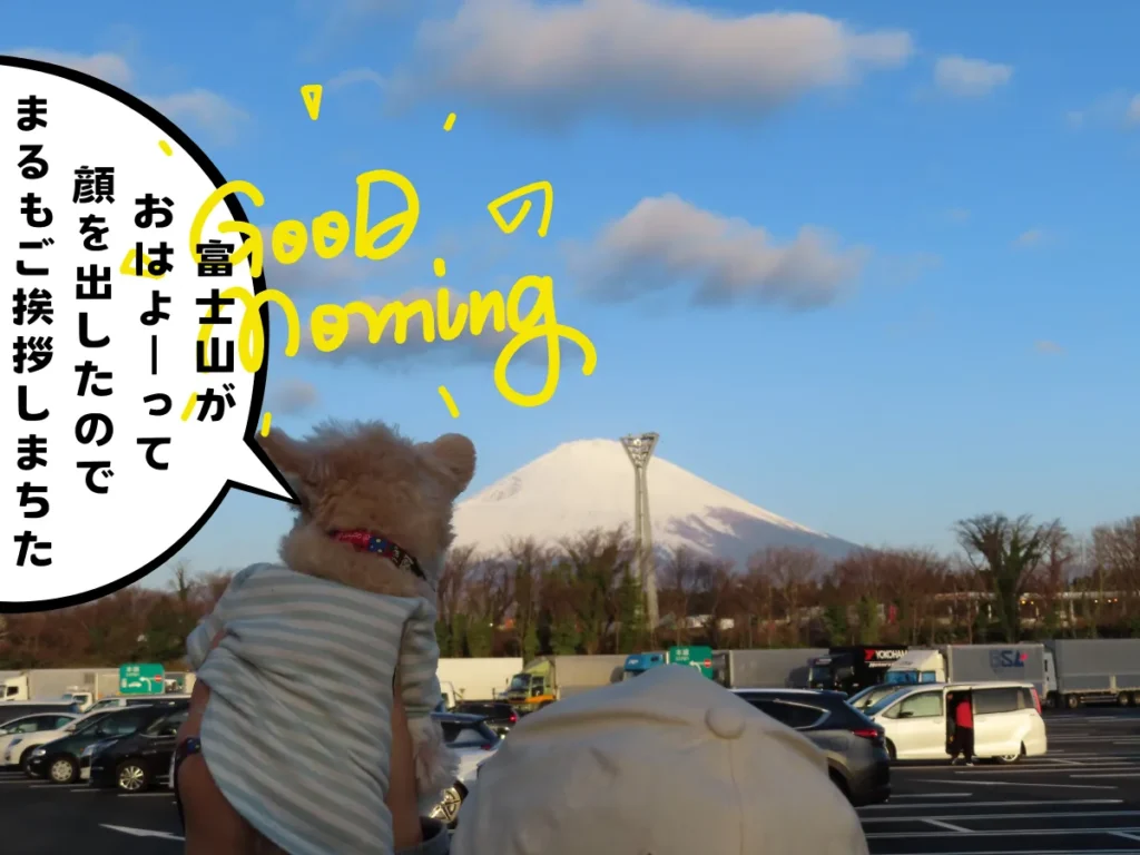 足柄SAから見る富士山