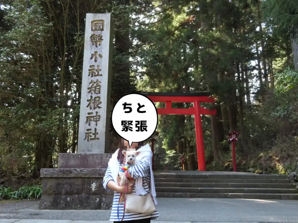 箱根神社の第三鳥居