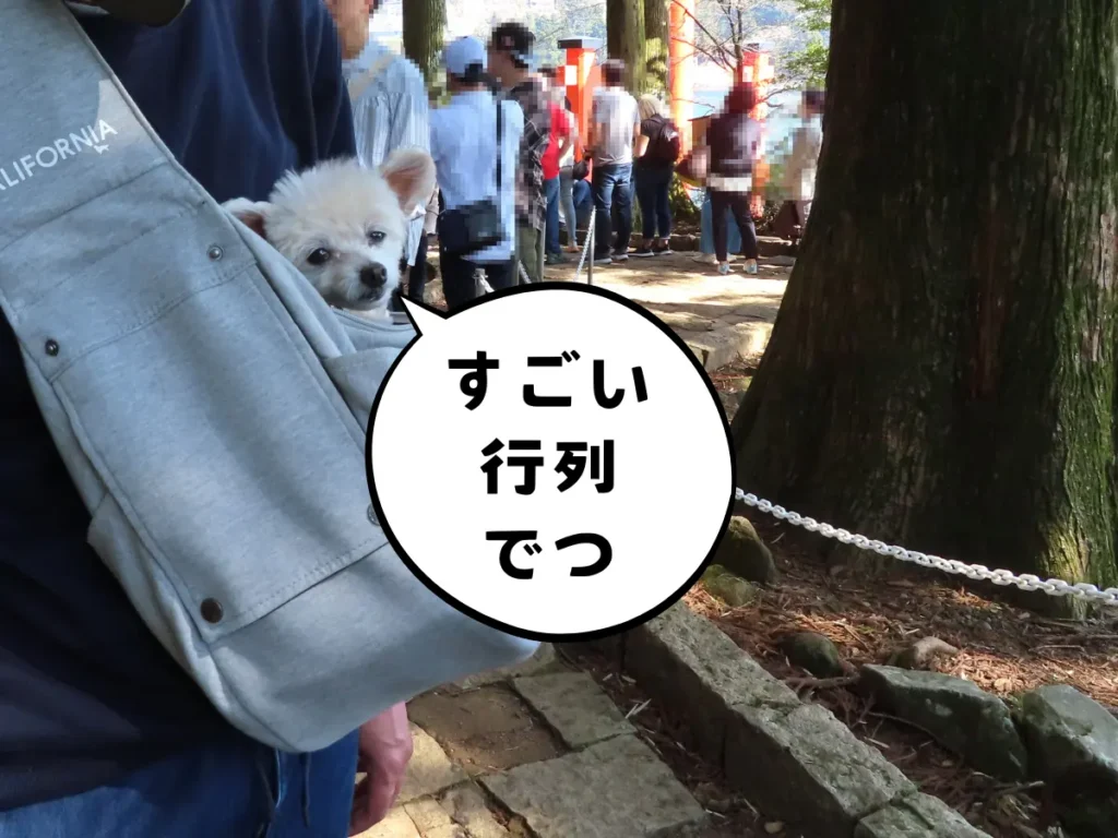 平和の鳥居の行列