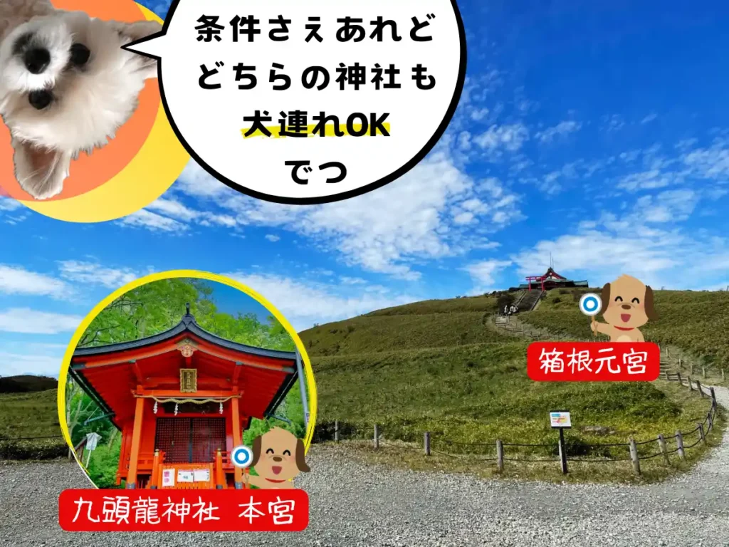 箱根元宮と九頭龍神社本宮