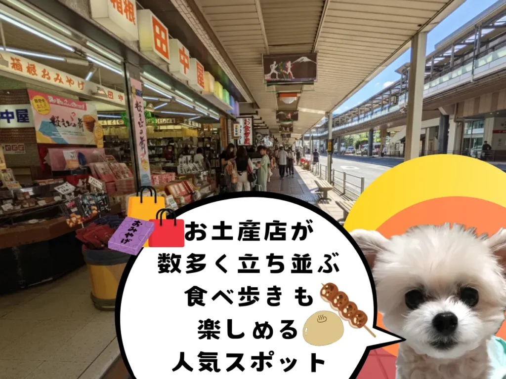 箱根湯本駅前商店街