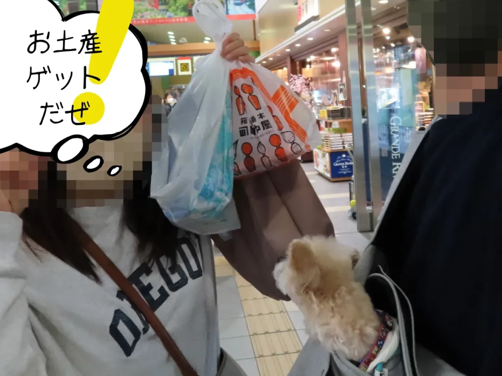 箱根登山名産店箱根の市にて