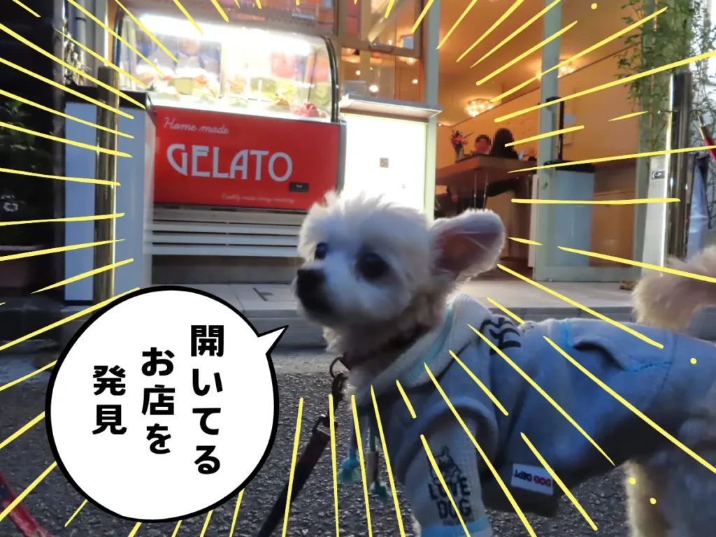 箱根ドルチェスタジオステラ