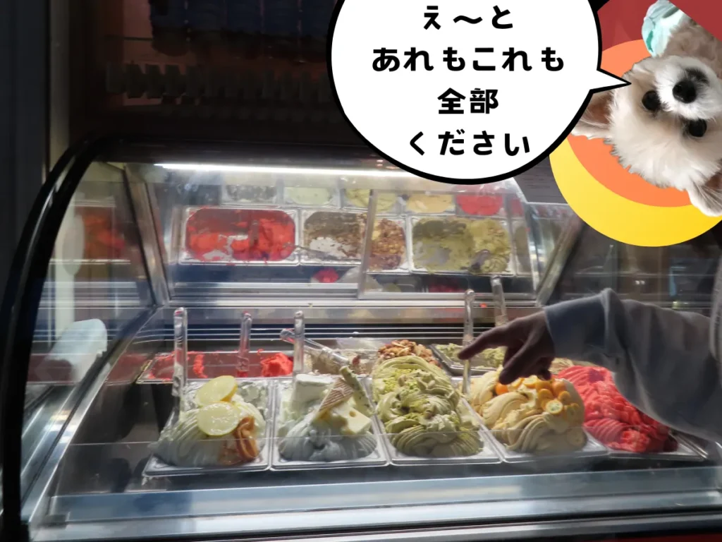 箱根ドルチェスタジオステラのジェラート
