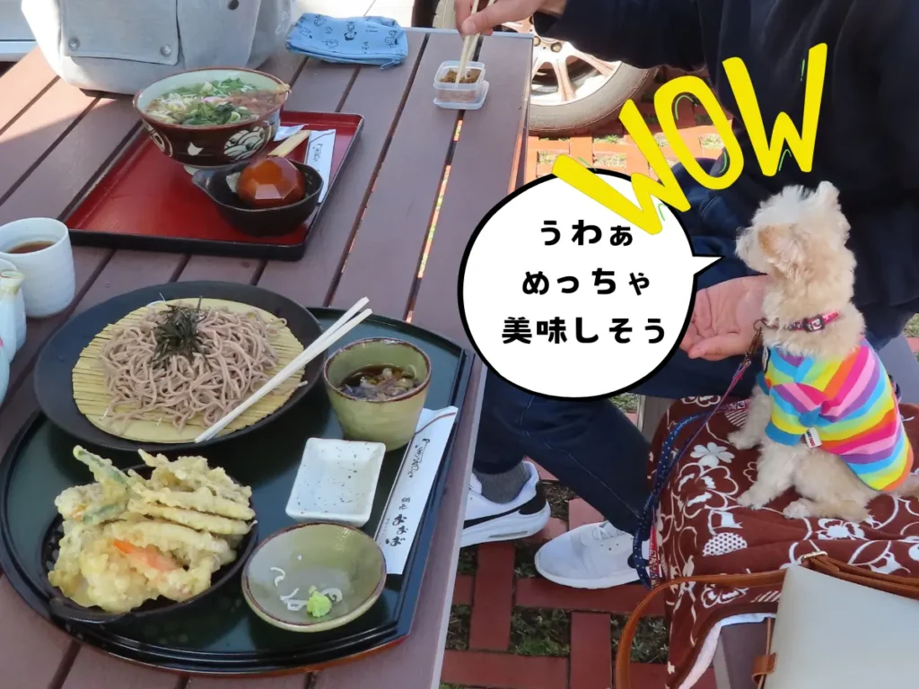ワカサギとお蕎麦の定食