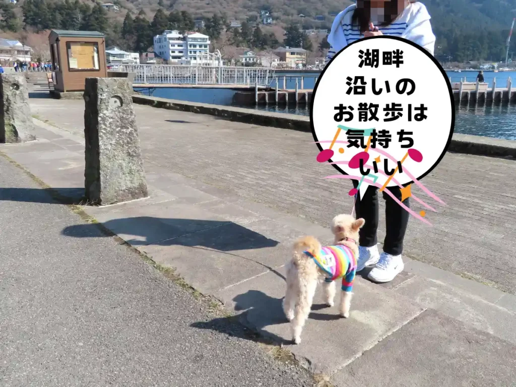 芦ノ湖沿いの遊歩道
