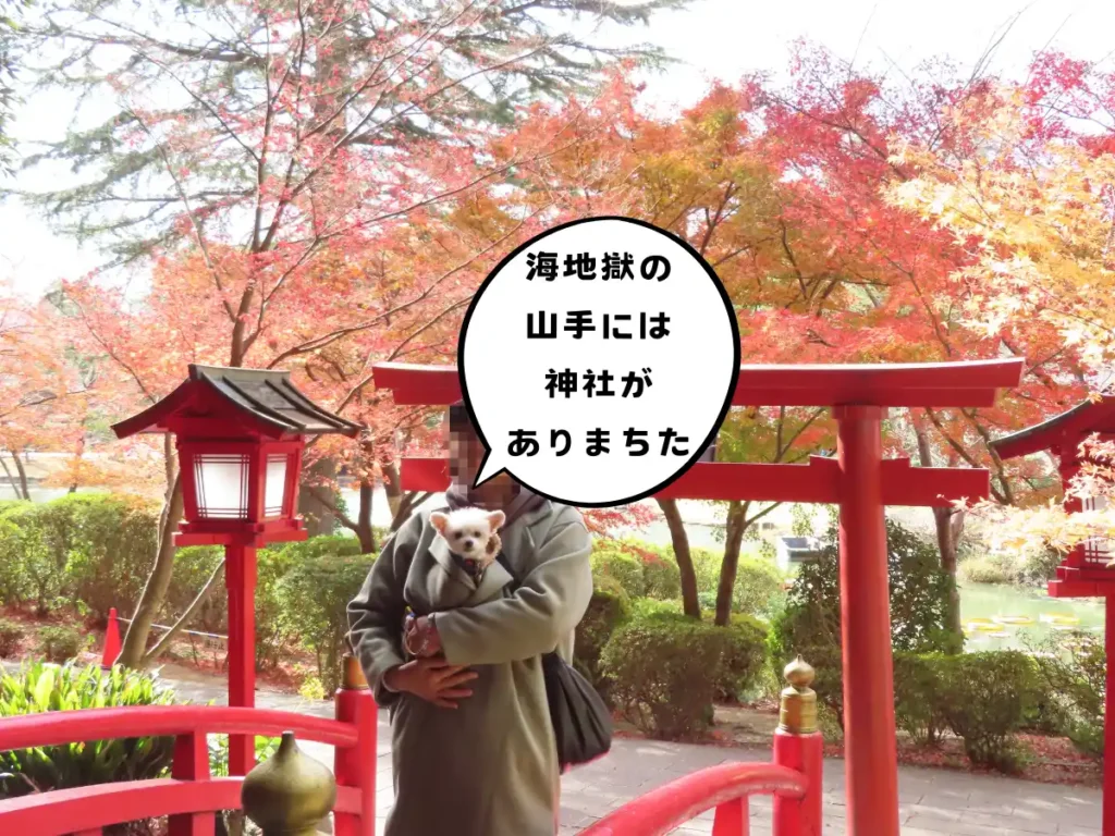 白龍稲荷大神の鳥居