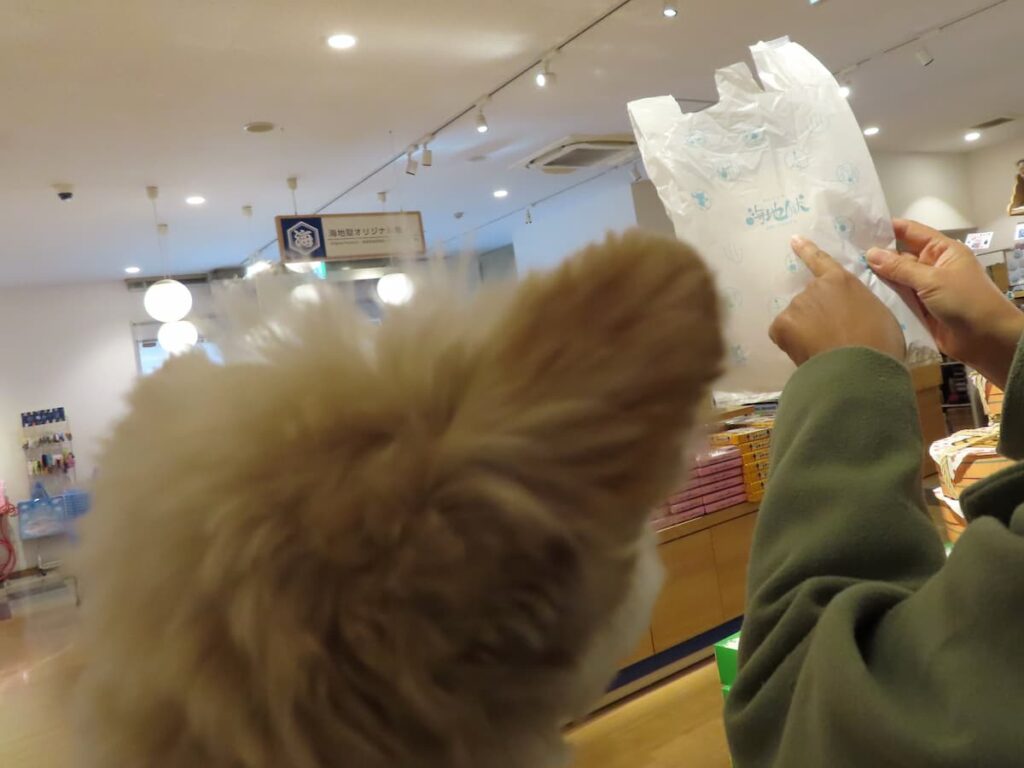 海地獄のお土産売り場