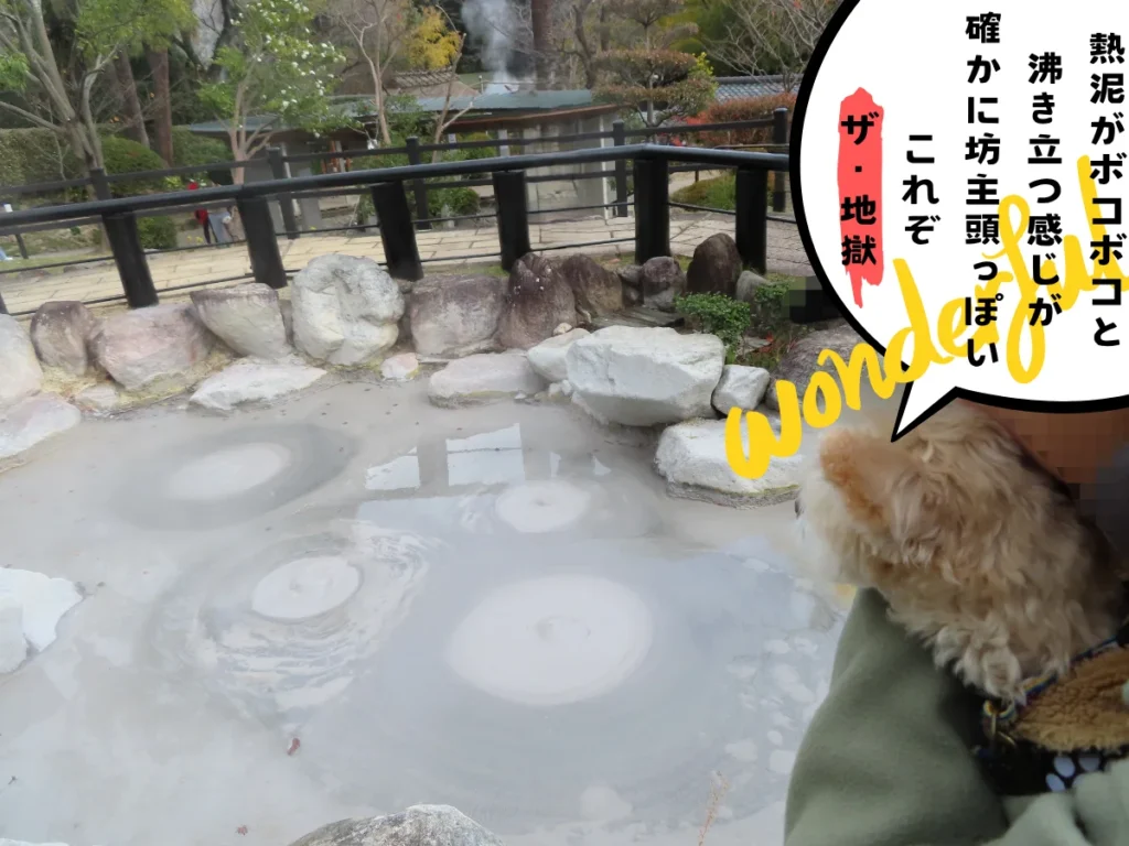 鬼石坊主地獄