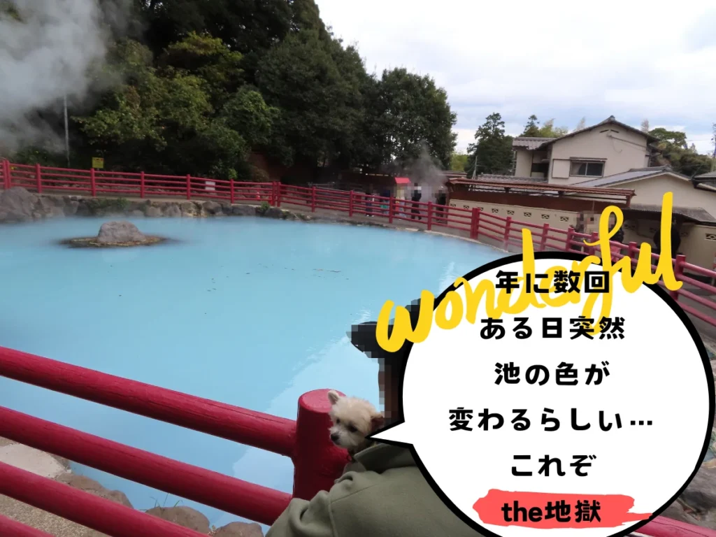 7つの地獄で冥界体験!?愛犬とべっぷ地獄めぐり｜わんことお出かけ別府