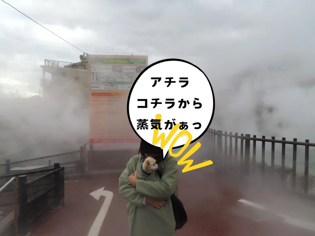 鬼山地獄の蒸気