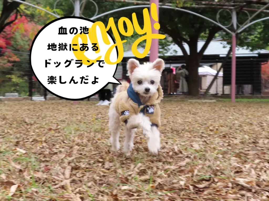 血の池地獄のドッグラン