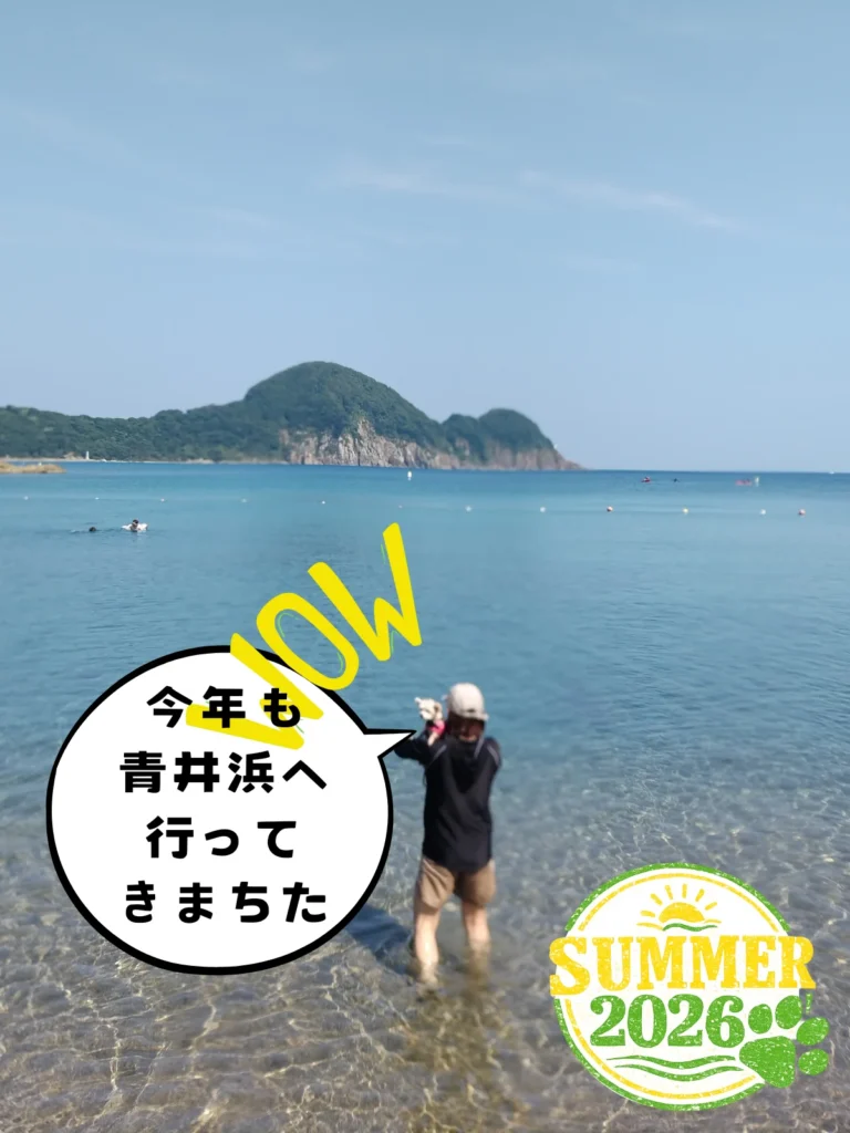 青井浜ワンワンビーチへ!2026年バージョン