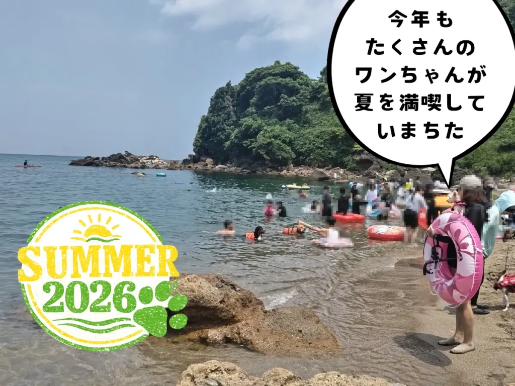 青井浜ワンワンビーチで楽しむワンコたち!2026年バージョン