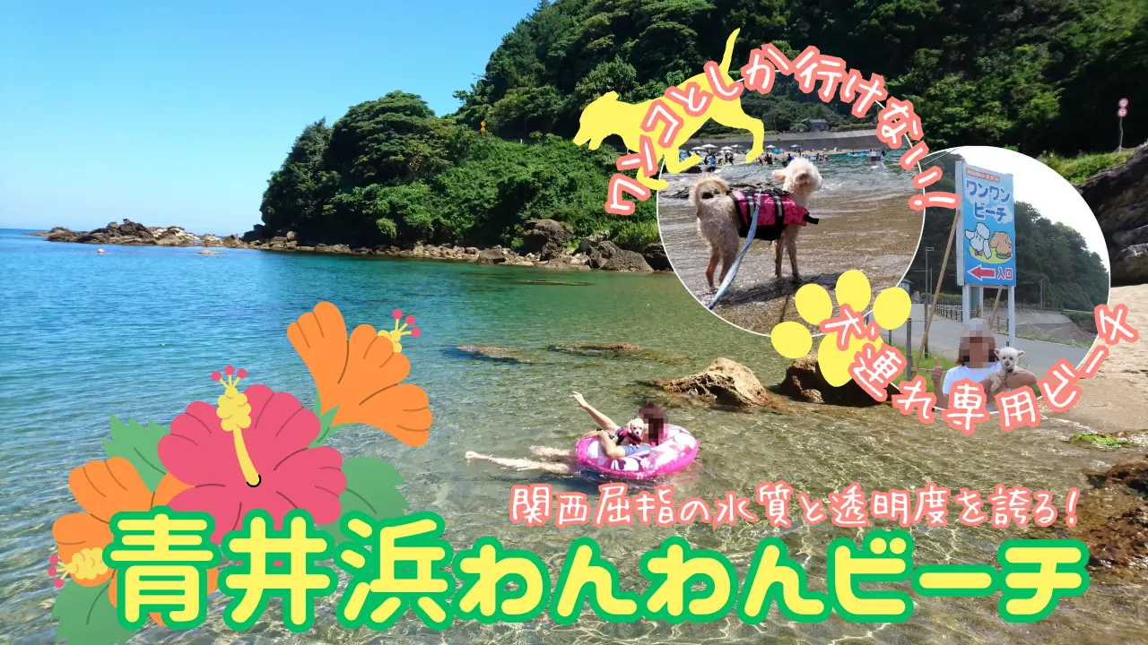 青井浜わんわんビーチ サムネイル
