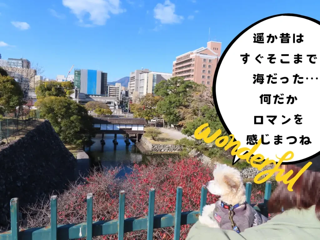 天守丸から廊下橋を見る