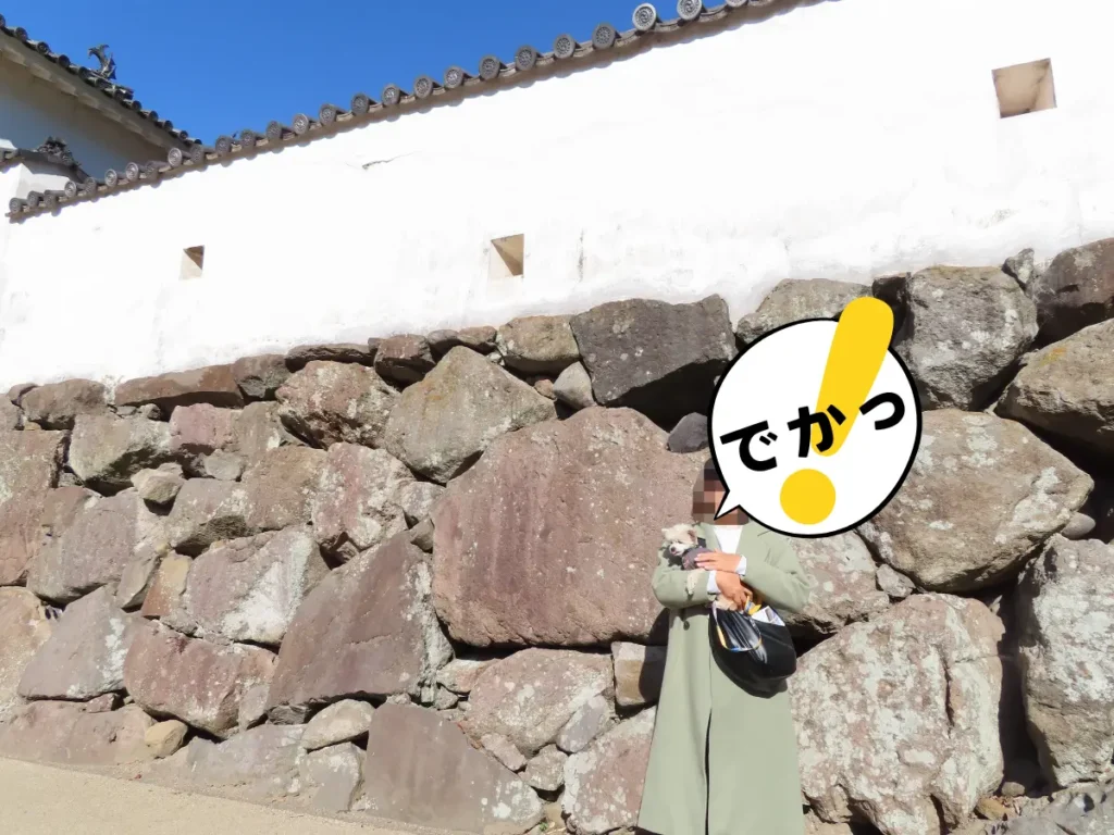 府内城のかがみ石
