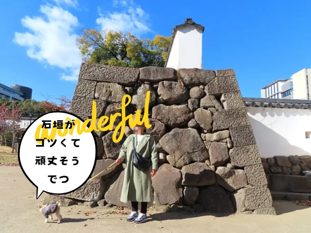 府内城の石垣