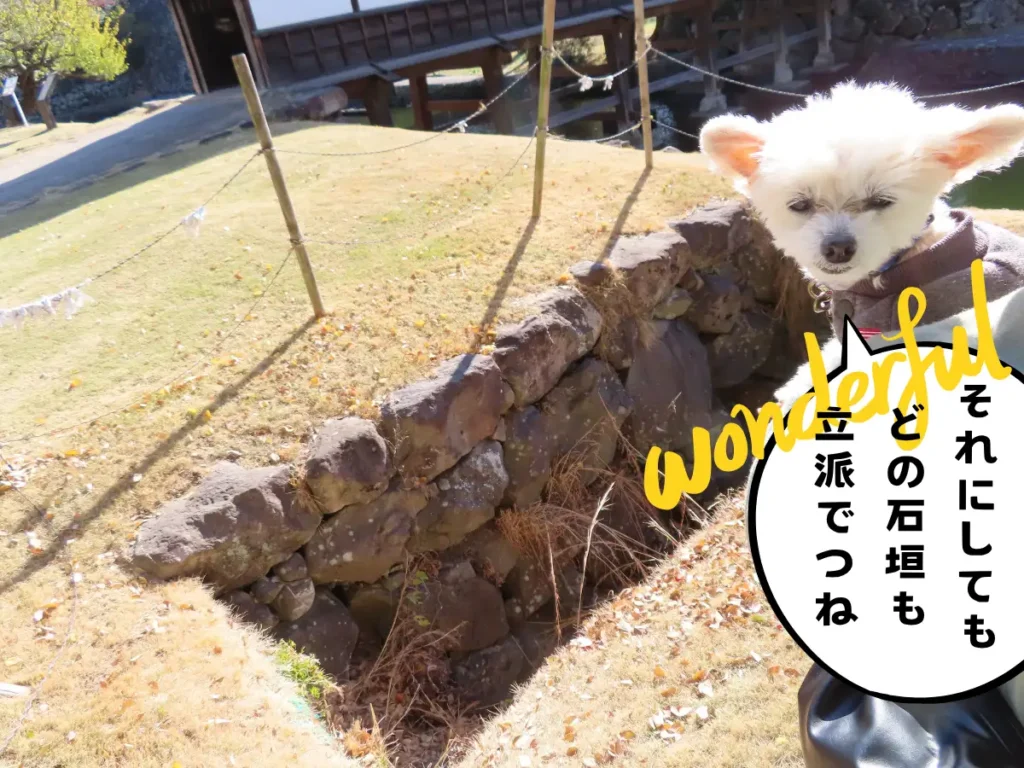 慶長の石垣を見る