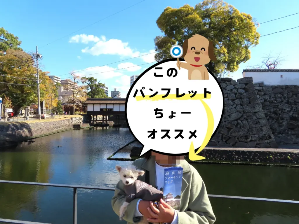 府内城ウォーキングマップのパンフレット