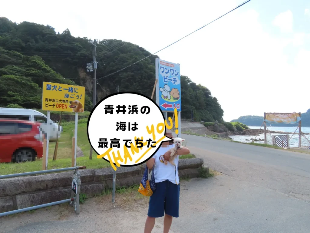 青井浜ワンワンビーチ