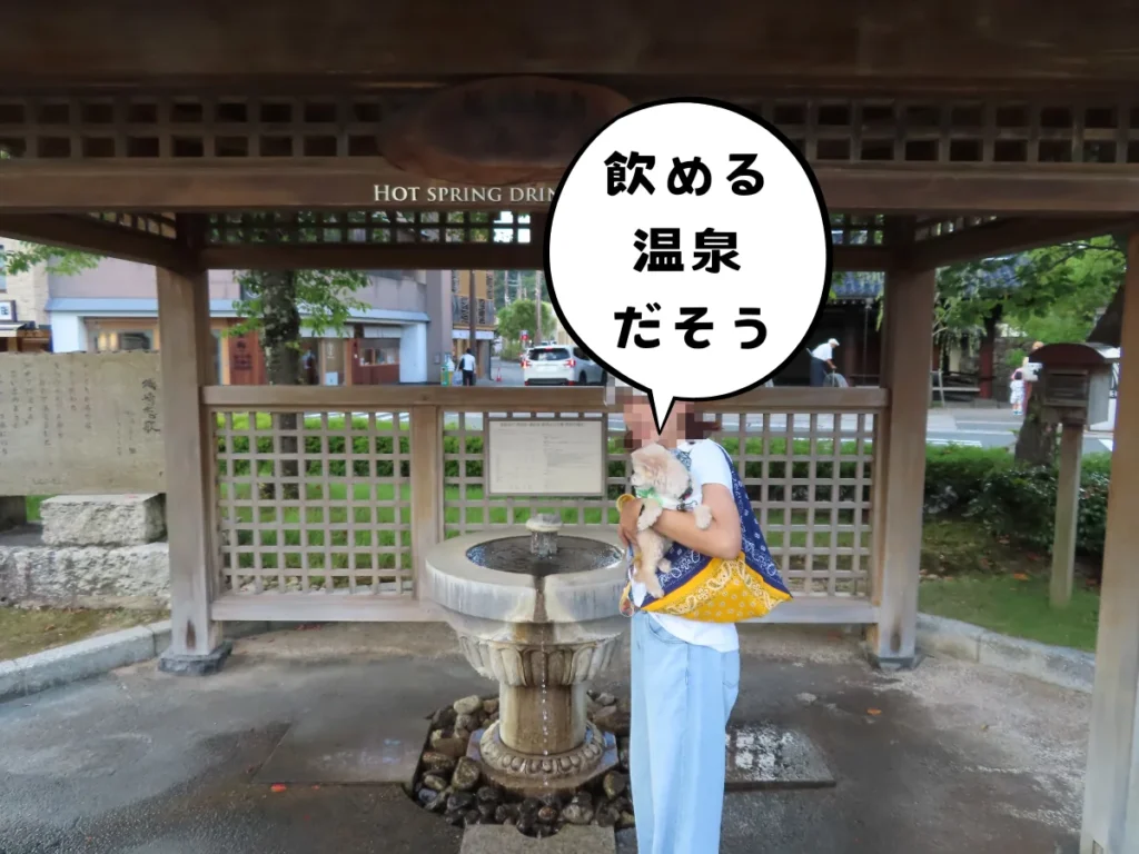 城崎温泉飲湯場