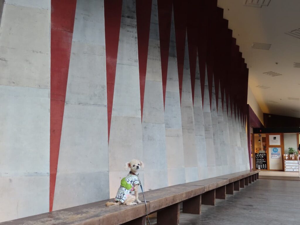 木屋町小路の火伏壁