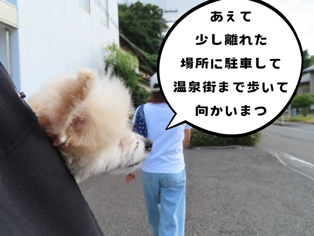 城崎温泉へと向かう犬