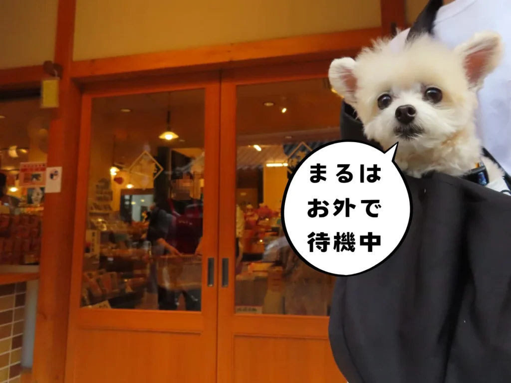 伊賀屋の前で待つ犬