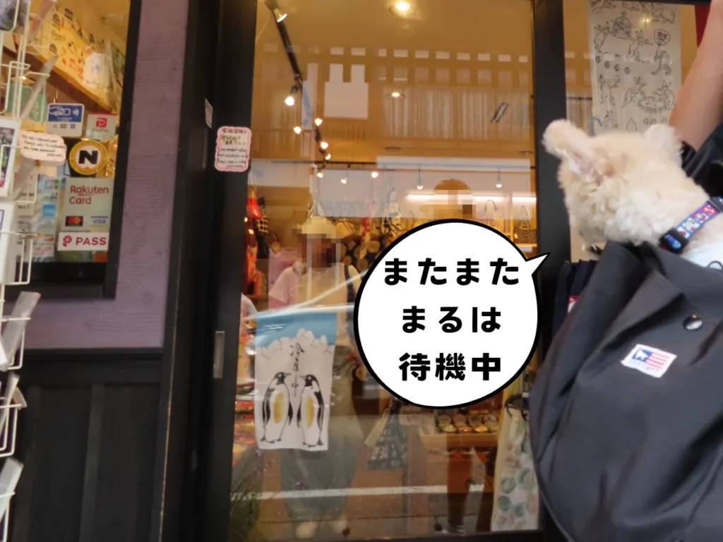 まるさん物産店の前で待つ犬