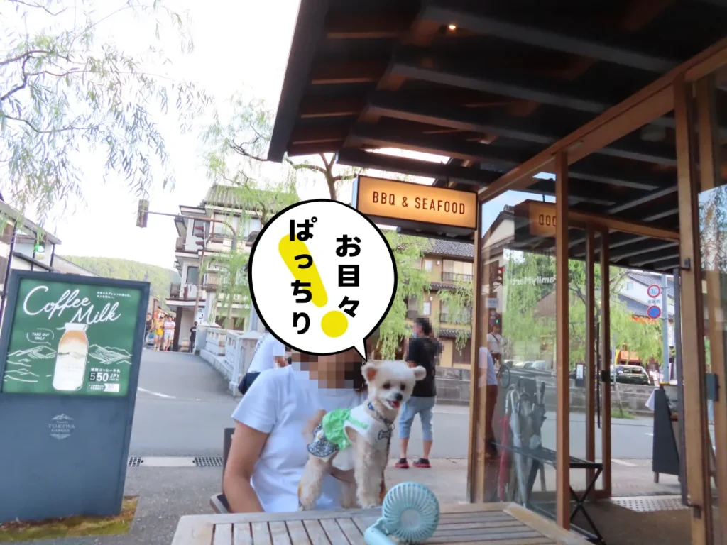 城崎ときわガーデンのテラス席