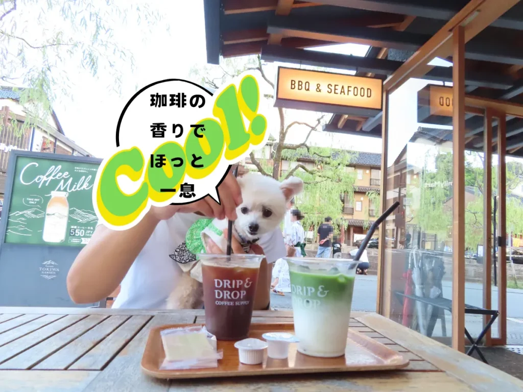 城崎ときわガーデンのコーヒーと抹茶ラテ