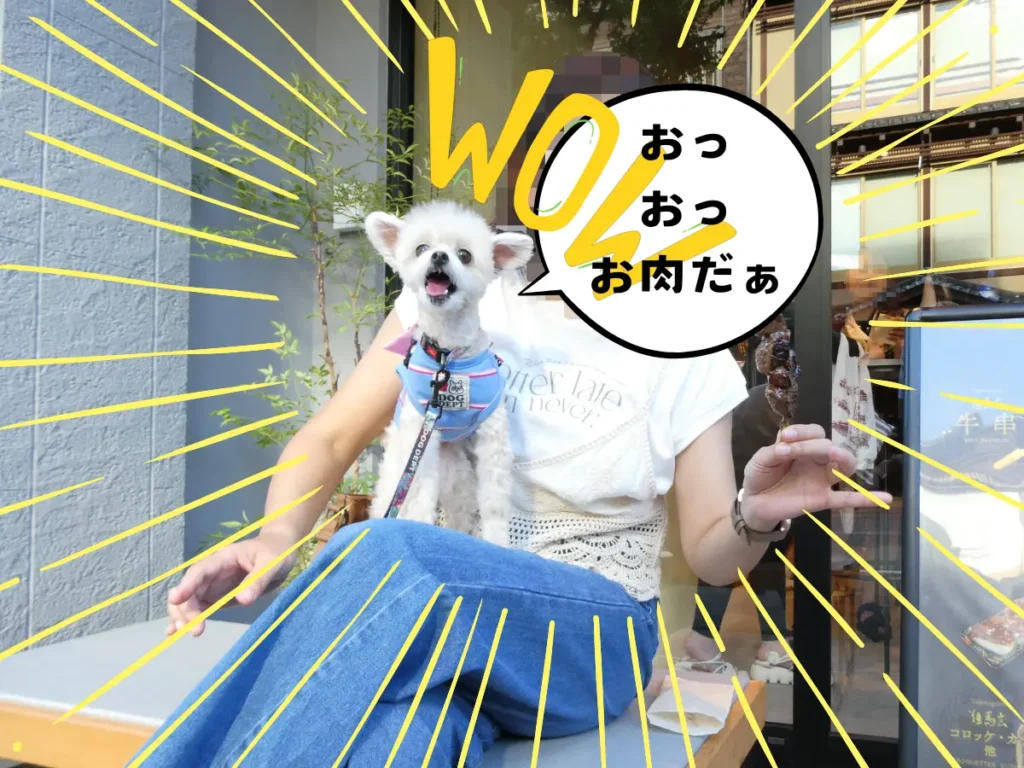 牛匠上田で牛串を食べる犬