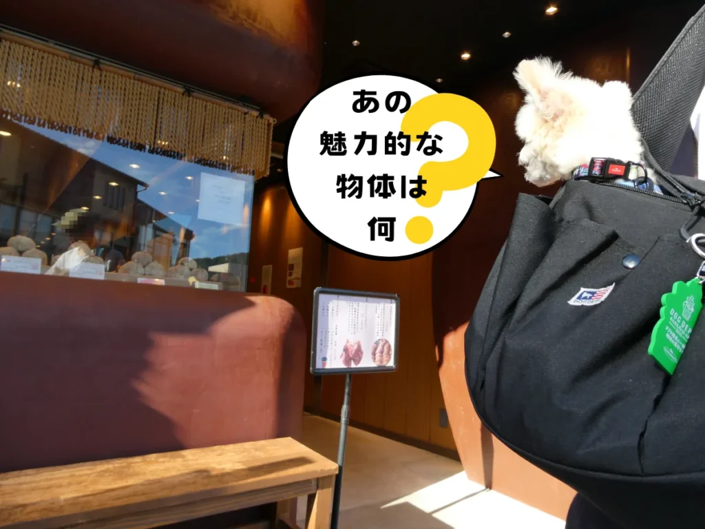 発酵餡菓うかわ