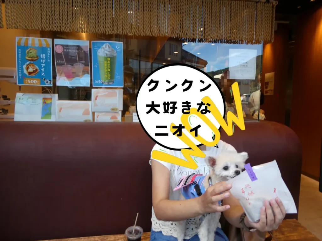 発酵餡菓うかわの丹波黒豆きなこパン