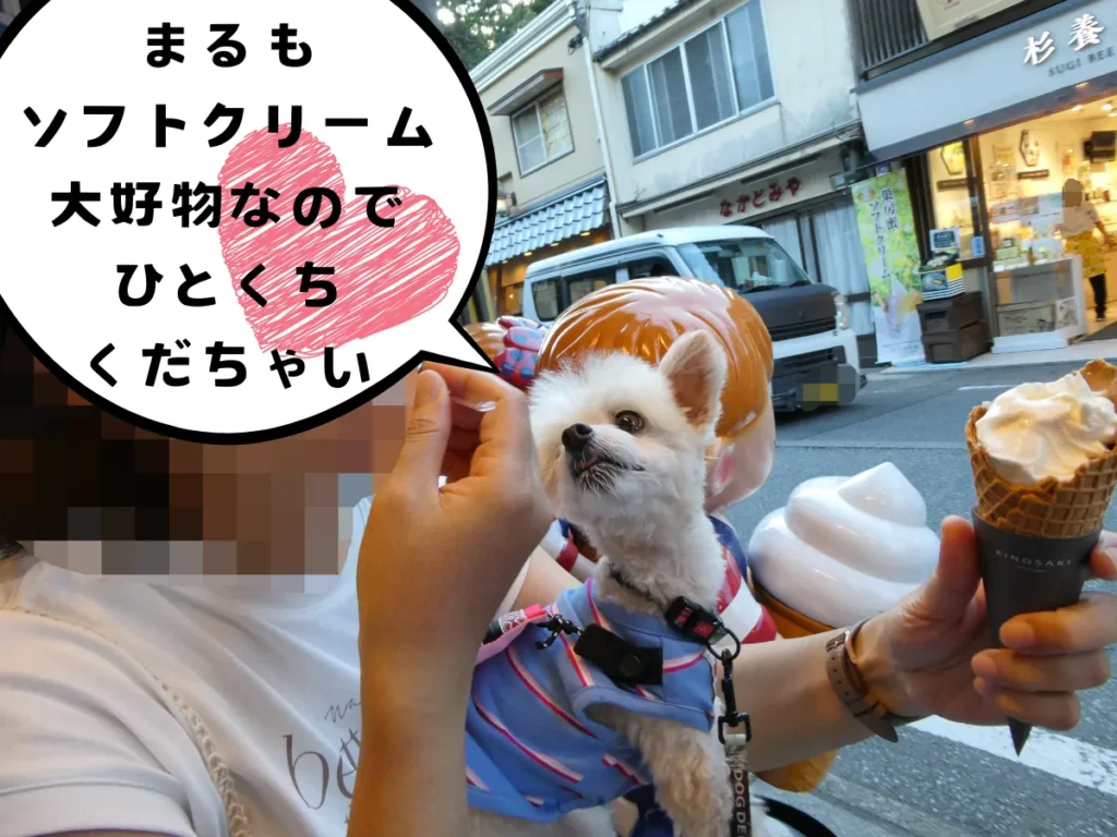 そふと工房の湯上がりミルクソフトクリーム