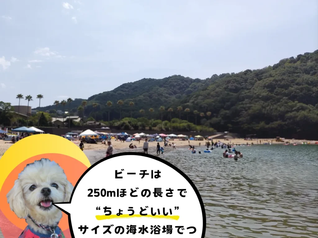城ノ浜海水浴場の広さ