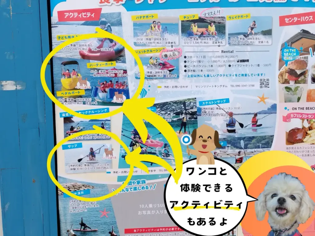 アクティビティの案内