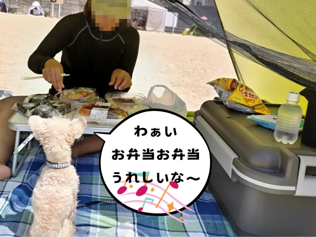 テントでランチタイム