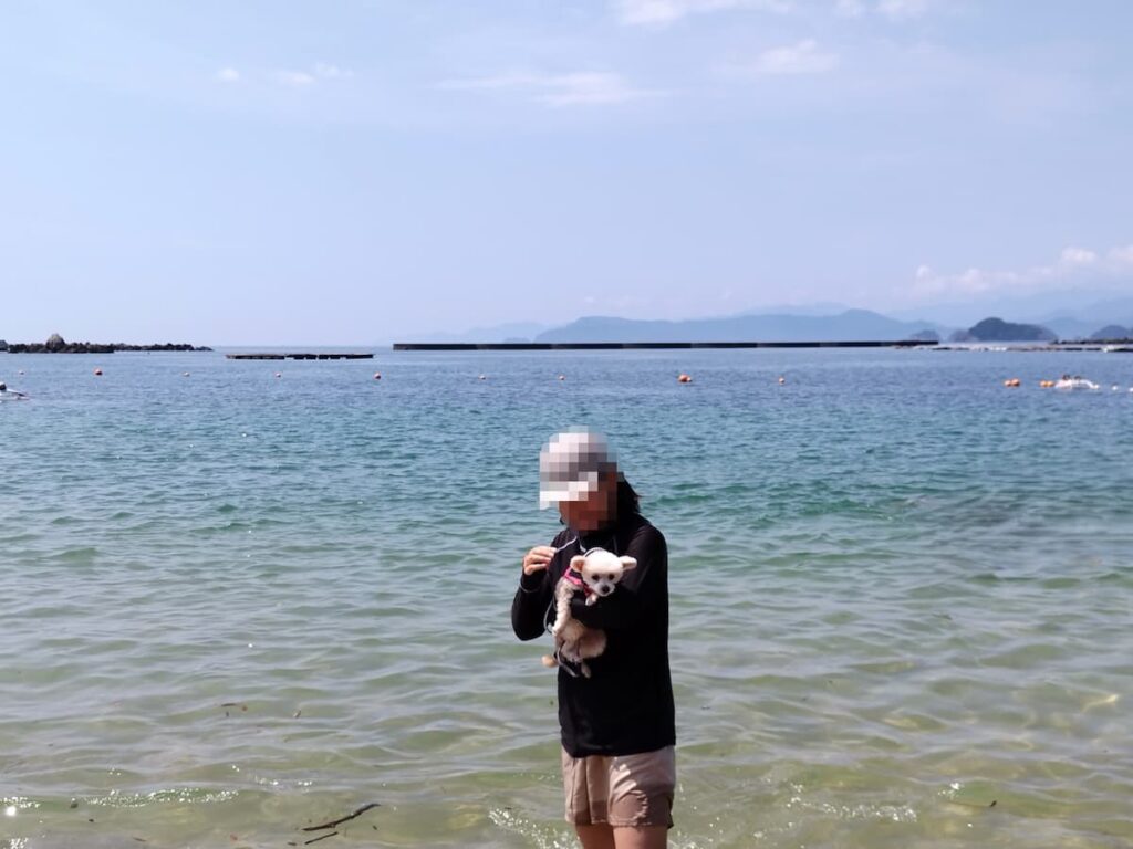 城ノ浜の海に入るママと犬