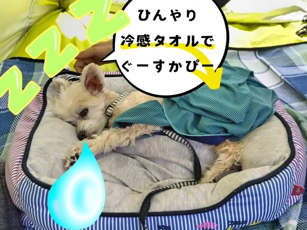 冷感タオルに巻かれて寝る犬