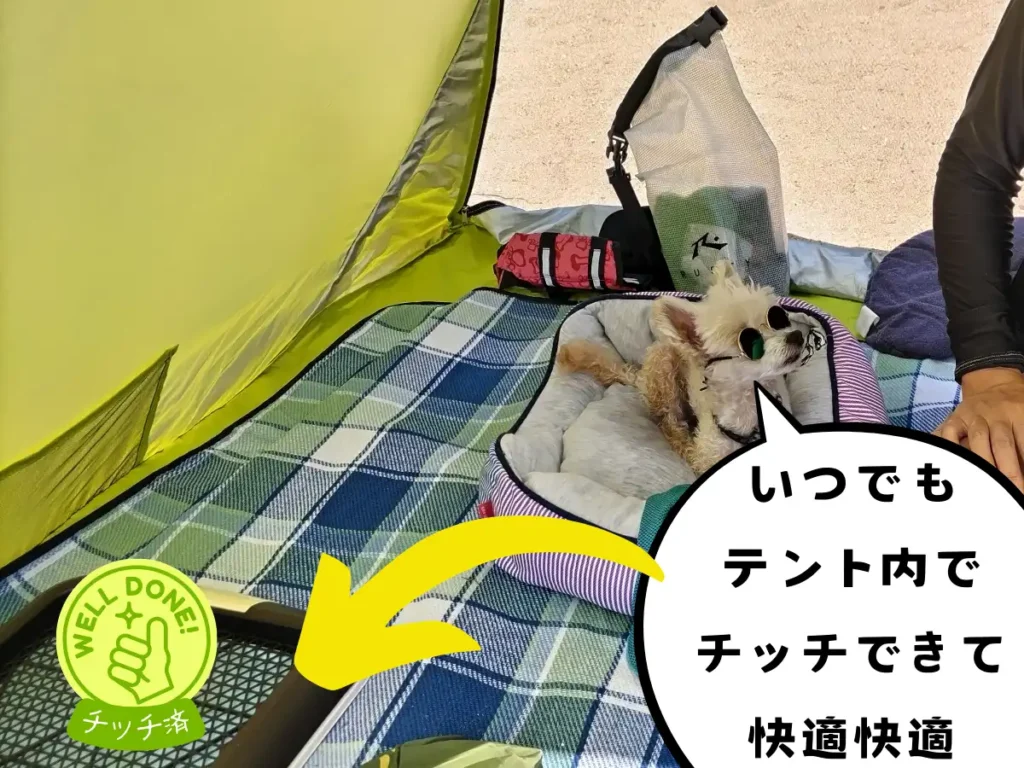 テント内にある犬用トイレ