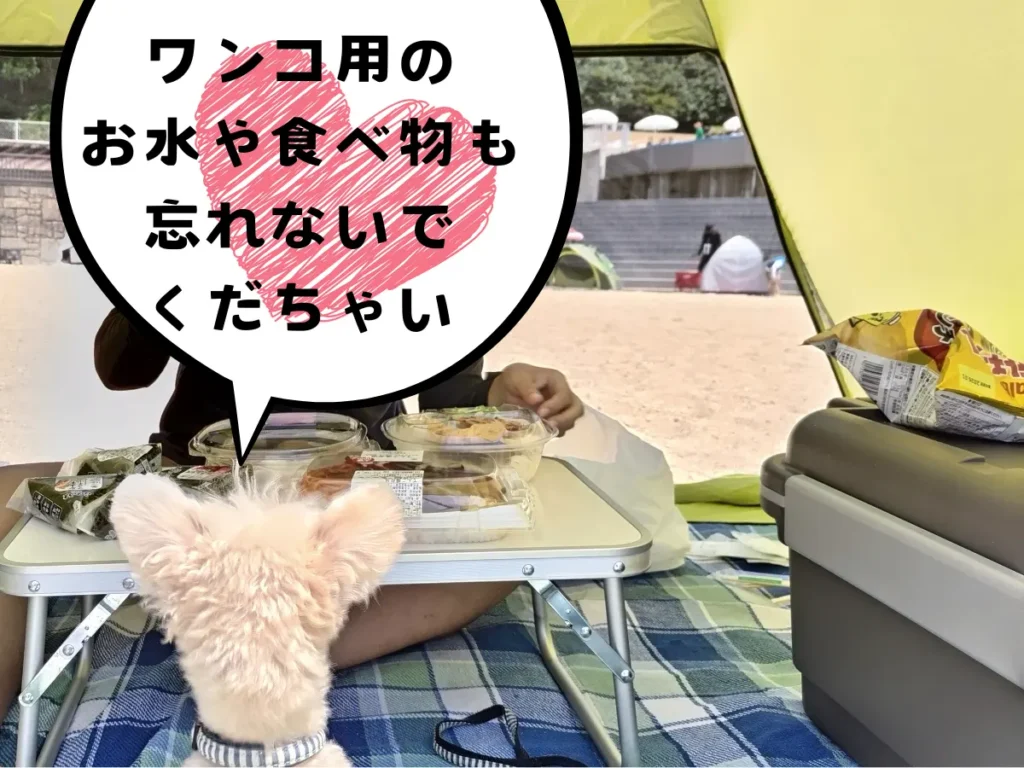 食べ物を催促する犬