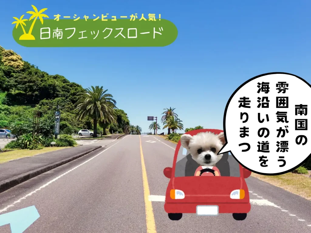 日南フェニックスロードのご紹介