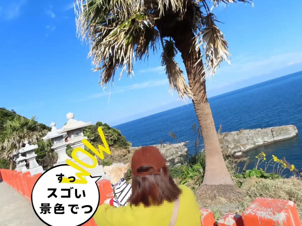 参道から見る日向灘と奇岩