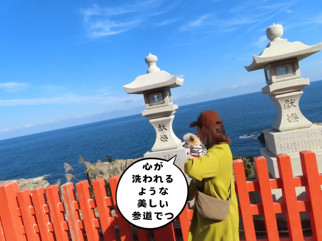 参道から見る日南海岸