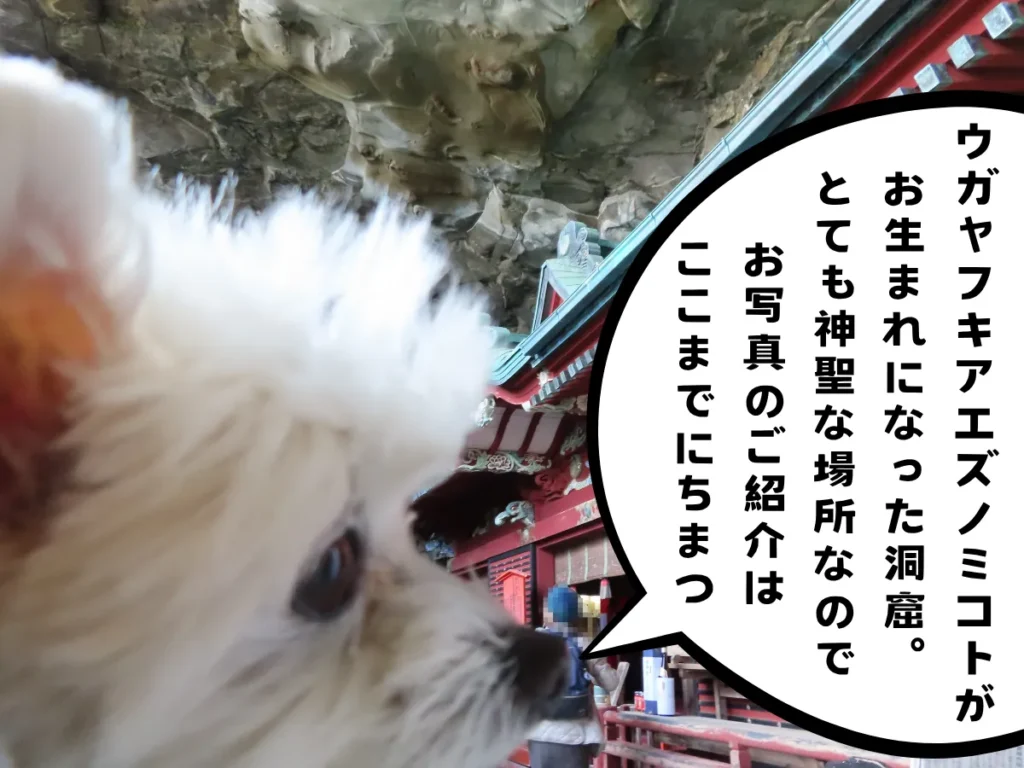 洞窟内にある御本殿